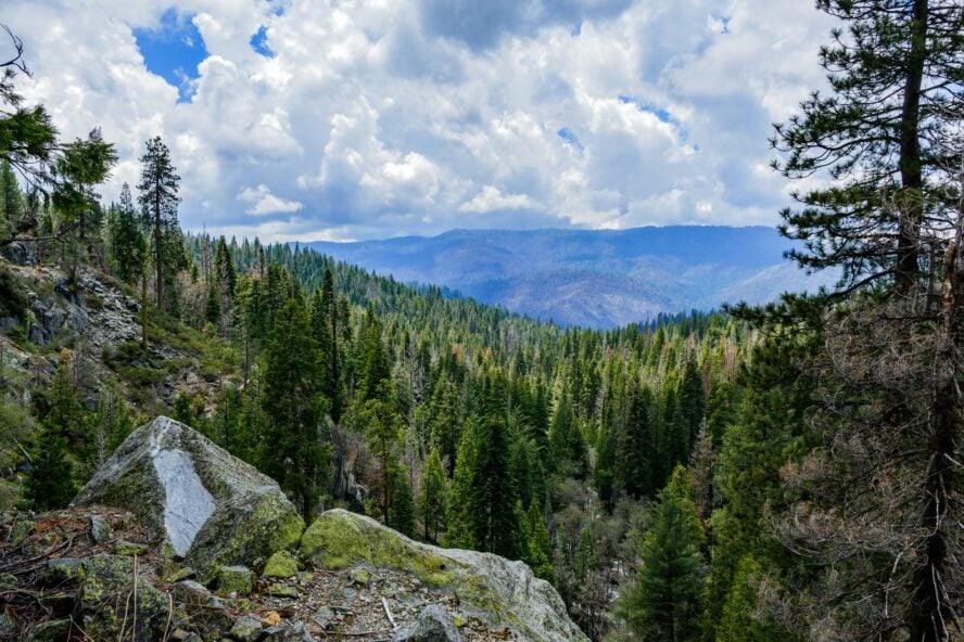Wawona Point