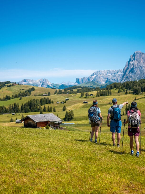 alpe di siusi guided hiking tour